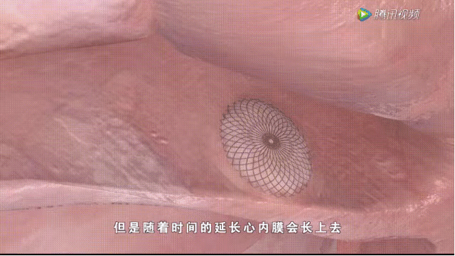 微信图片_20190121164737.jpg