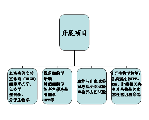 细胞图片3.png