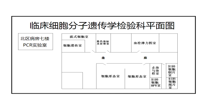 细胞图片4.png