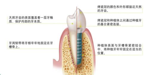 图片44.jpg
