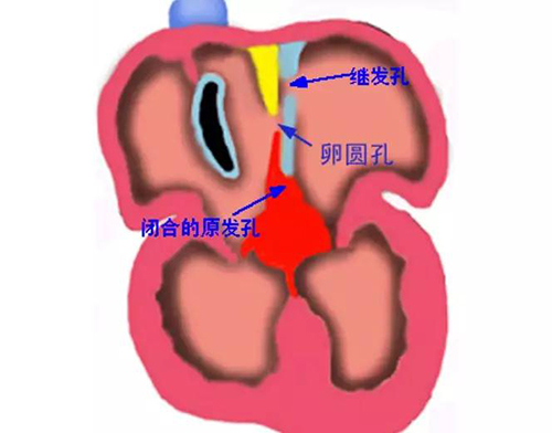 微信图片_20190121164737.jpg