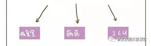 微信图片_20190129145136.jpg