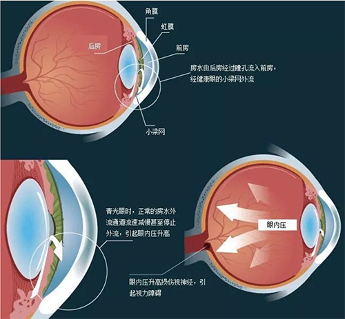 微信图片_20190314104441.jpg