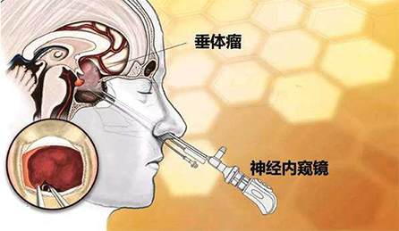 图片25.jpg