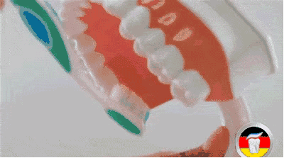 微信图片_20190508102832.gif