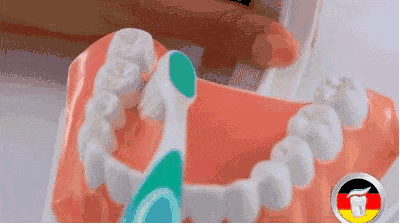 微信图片_20190508102839.gif