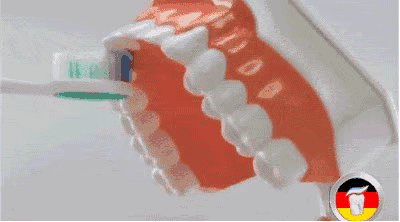 微信图片_20190508102846.gif