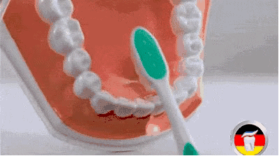 微信图片_20190508102849.gif