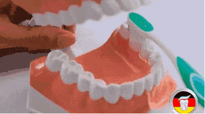 微信图片_20190508102857.gif