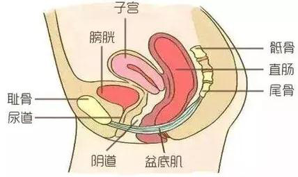 微信图片_20190827092757.jpg