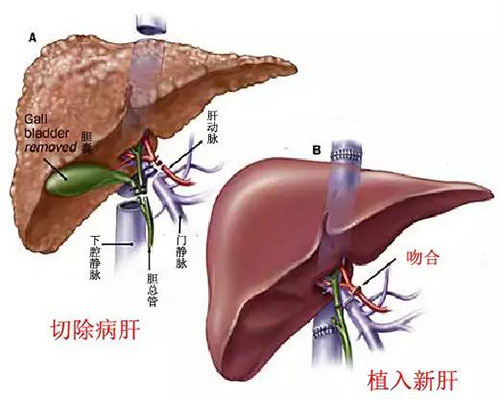 微信图片_20191017083409.jpg