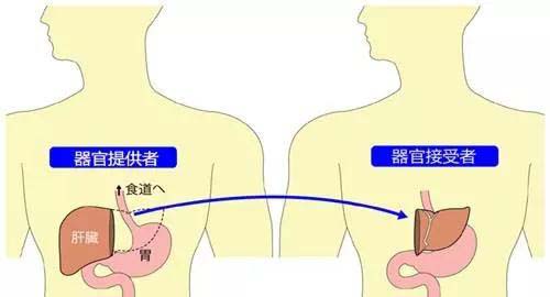 微信图片_20191017083417.jpg