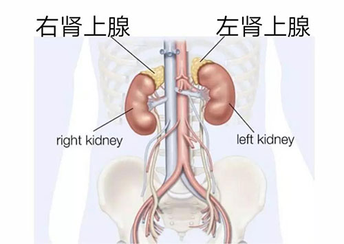 微信图片_20191025085706.jpg