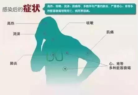 微信图片_20191219094549.jpg