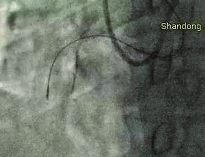 fmmsl003.jpg