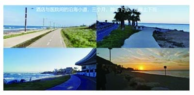 fmmsl306.jpg