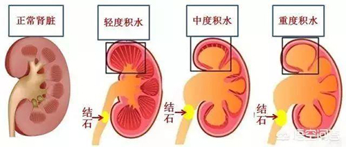 微信图片_20200806092736.jpg