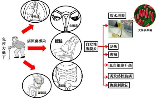 图片52.jpg