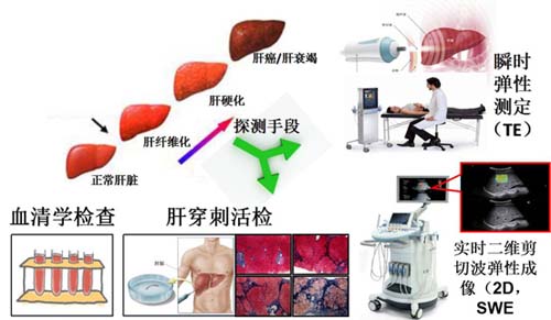 图片56.jpg