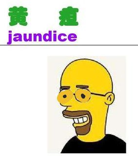 图片67.jpg