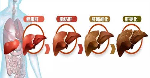 图片91.jpg