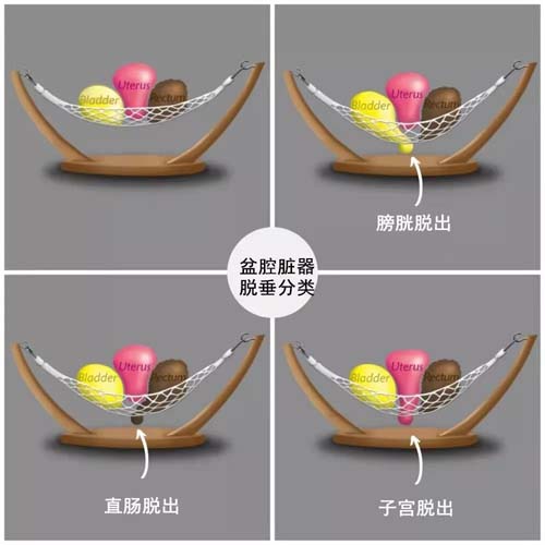 微信图片_20210811091926.jpg