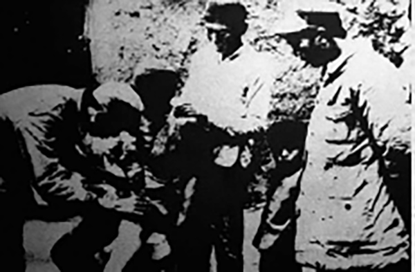 图片 186.jpg