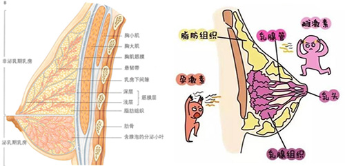 微信图片_20220310090417.jpg