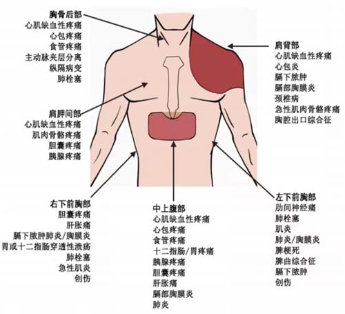 微信图片_20230206083646.jpg