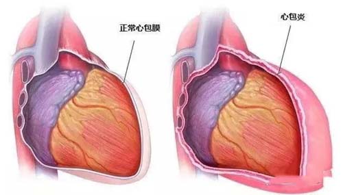 微信图片_20230206083703.jpg