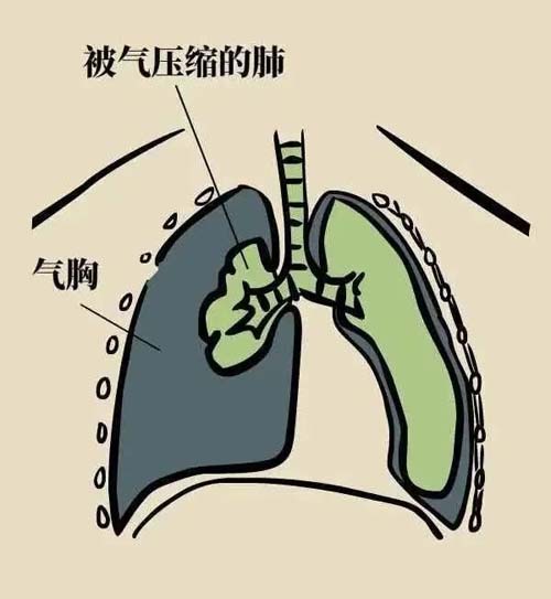 微信图片_20230206083705.jpg