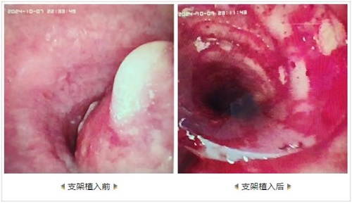 微信图片_20241018081741.jpg