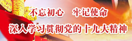 十九大专题
