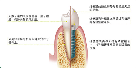 香港宝典免费资料网